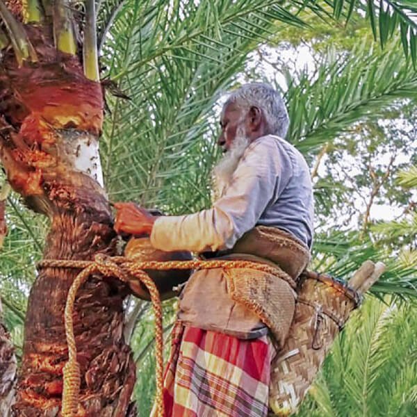 মোহাম্মদ করিম