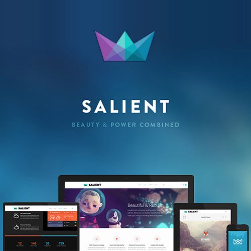 Salient | Multi-Purpose Wordpress Theme