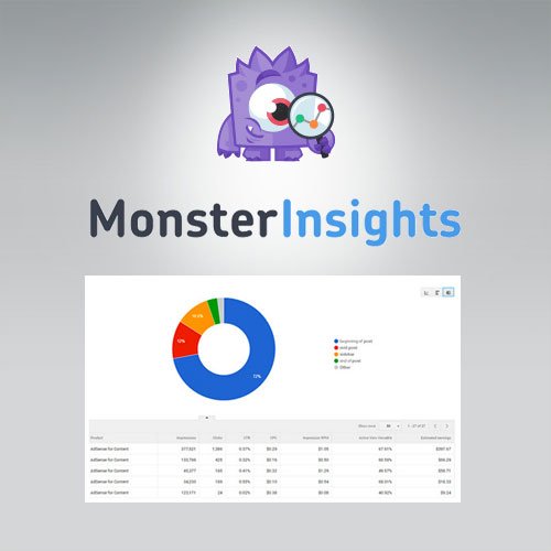 MonsterInsights Ads Tracking Addon