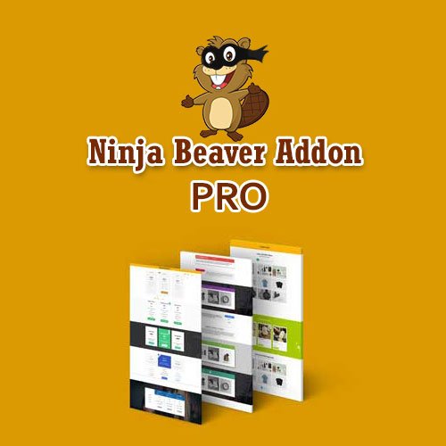 Ninja Beaver Pro | Build Your Own Website