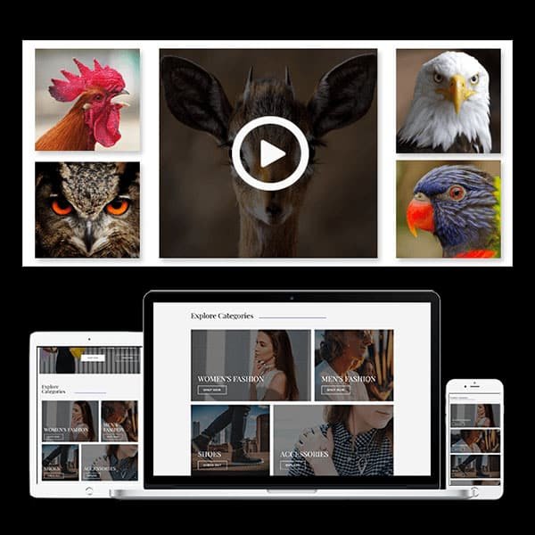 WP Portfolio - Image 2